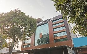 Collection O Hotel Marigold